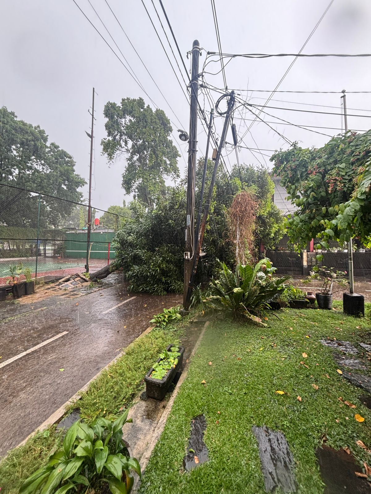 Pohon Roboh Timpa Kabel Listrik di Perumahan Jatikramat Bekasi, Akses Jalan Sempat Terganggu