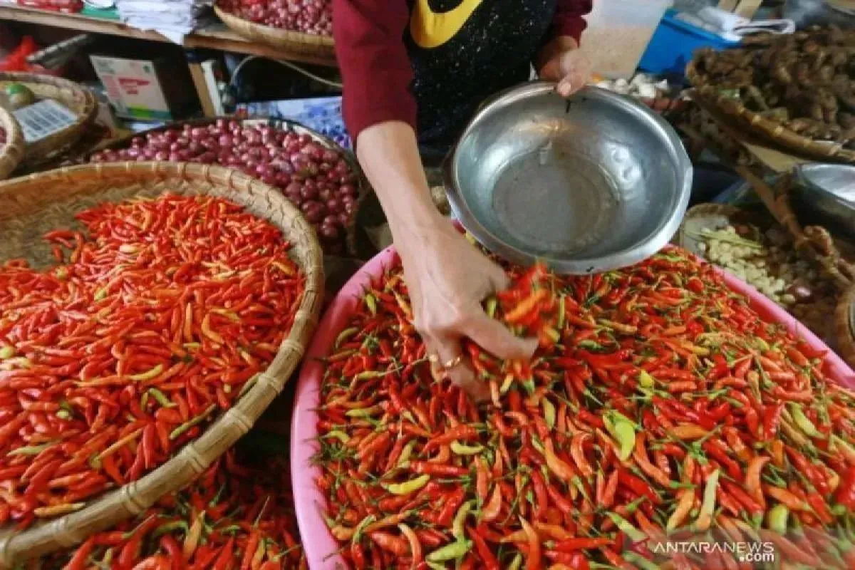 Harga Cabai Rawit Tembus Rp 77.950 per Kilogram, Telur Ayam Bertahan di Level Rp 29.800 per Kilogram