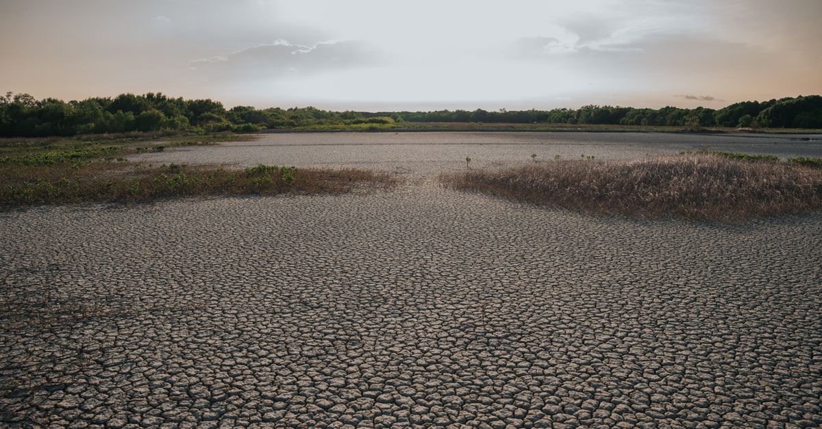 Indonesia Bersiap Hadapi Kemarau Kering dan Cuaca Ekstrem Akibat El Nino