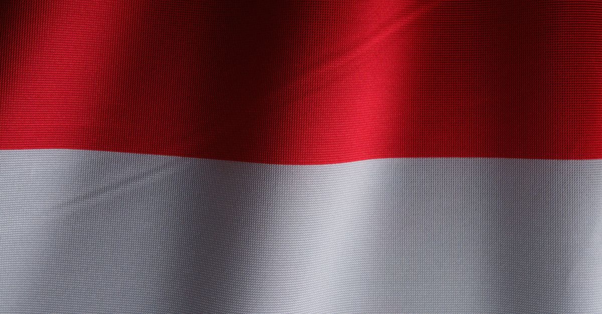Menakar Demokrasi dan Nasionalisme Ekonomi Era Prabowo Subianto
