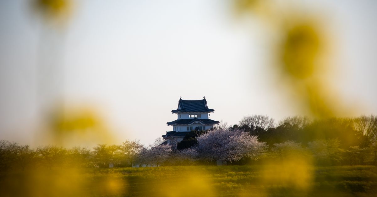 Jepang di Tahun 2026: Destinasi Musim Panas dan Gugur yang Memukau