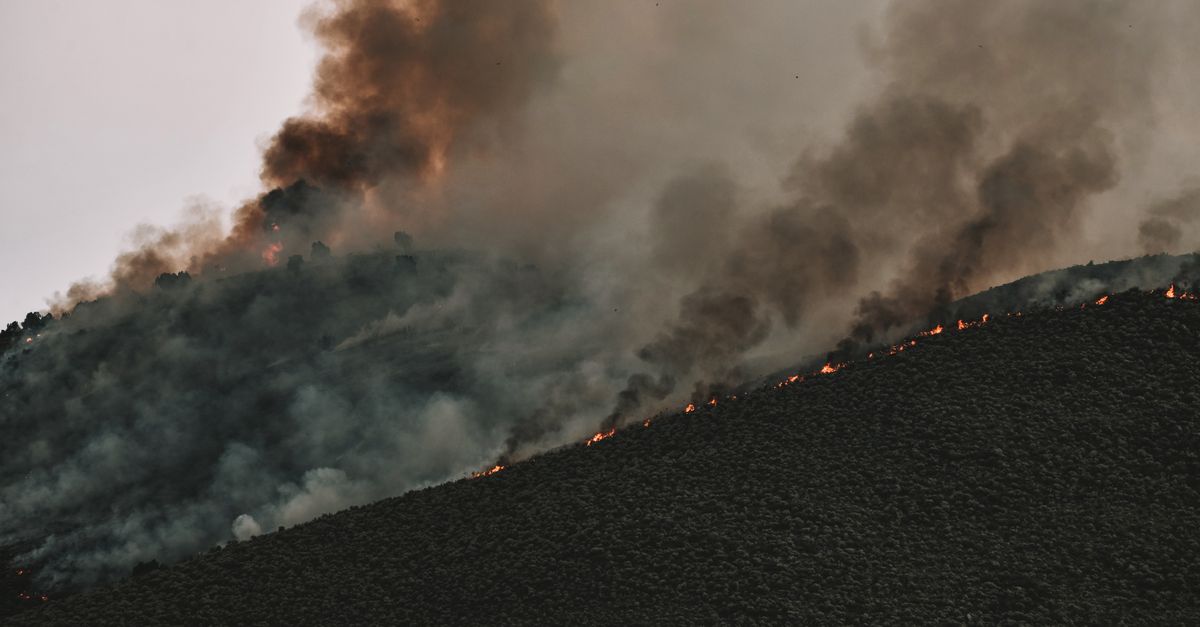 Kebakaran Hutan Dahsyat di Almeria Spanyol, 11 Tewas dan 19 Hilang