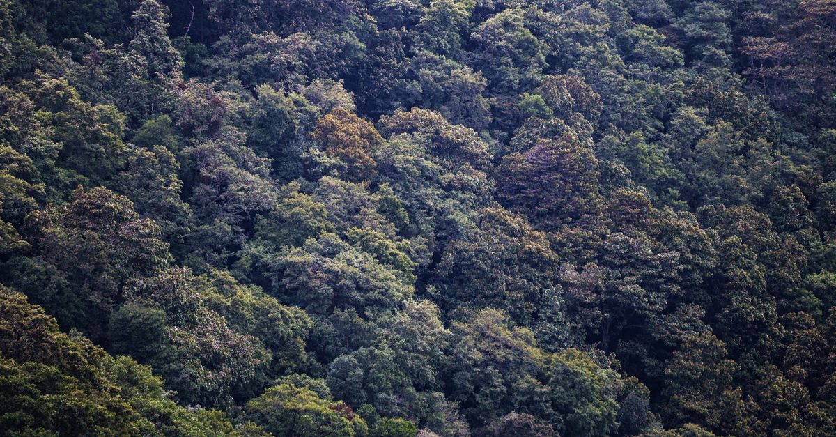 Kabut Asap Selimuti Kotim, Ancaman Karhutla Kembali Bayangi Kalteng
