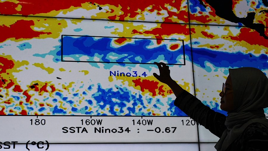 Serba-serbi El Niño 2026 dan Dampaknya bagi Dunia hingga Indonesia