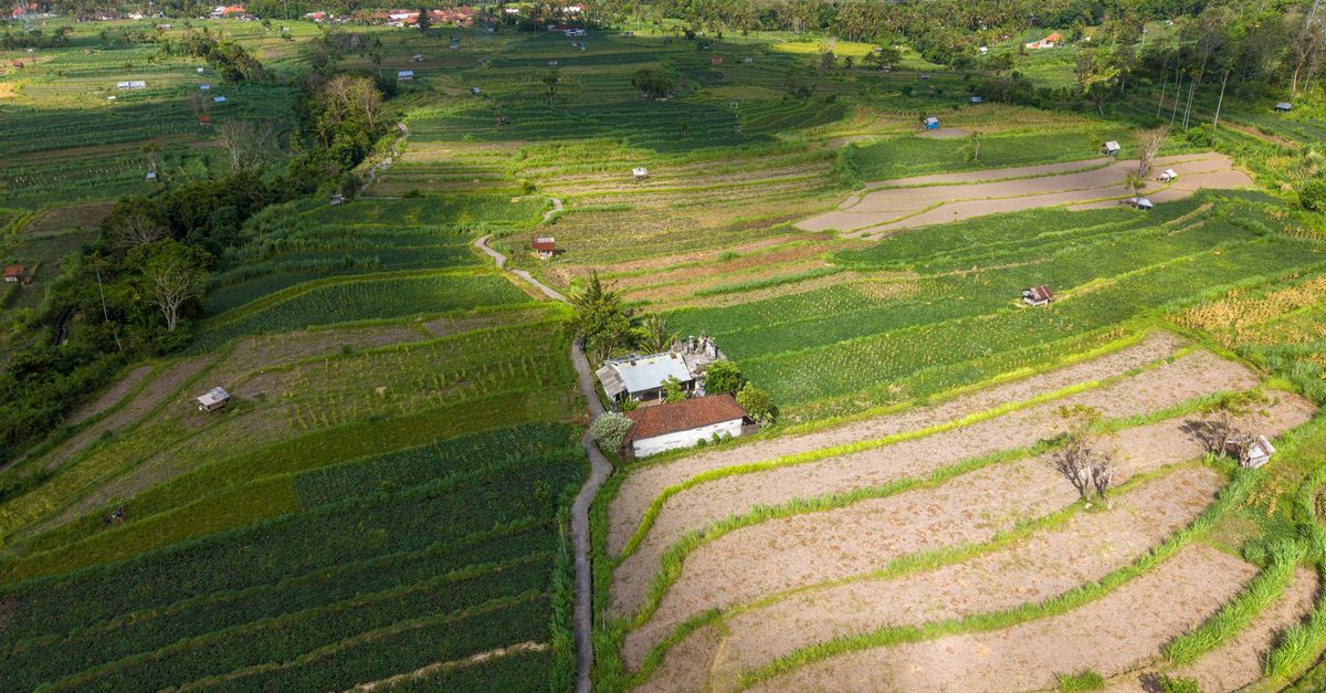Pariwisata Indonesia: Harmoni Digitalisasi, AI, dan Kearifan Lokal