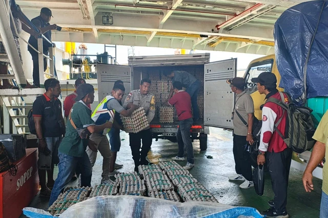 Tanggap Bencana Gempa Pulau Palue, Kemensos Salurkan Bantuan Logistik dan Dapur Umum