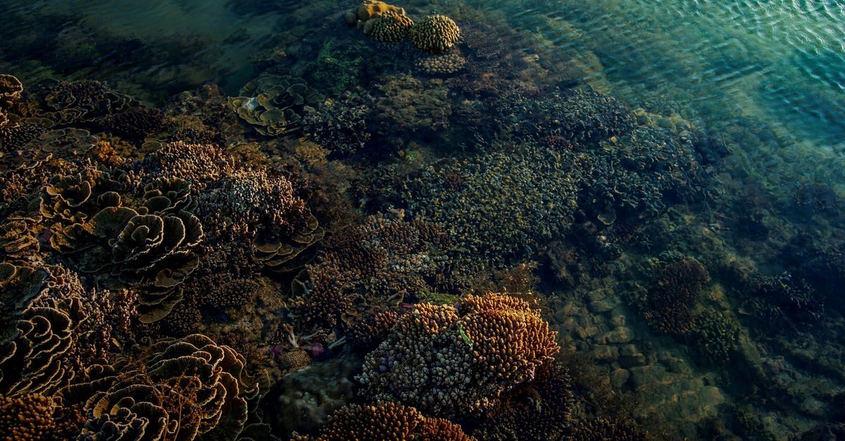 Dinamika Startup 2026: Inovasi Bawah Laut Inggris dan Pendanaan Nasional