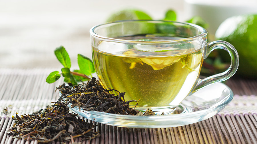 Teh Hijau vs Kopi, Mana yang Lebih ‘Ampuh’ untuk Buang Lemak?