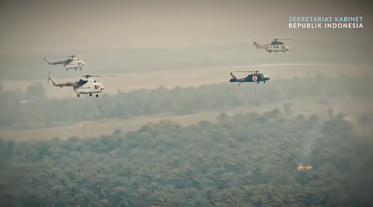 Pemerintah Kerahkan Puluhan Ribu Personil dan Puluhan Pesawat demi Tangani Kebakaran Hutan di Enam Provinsi Prioritas