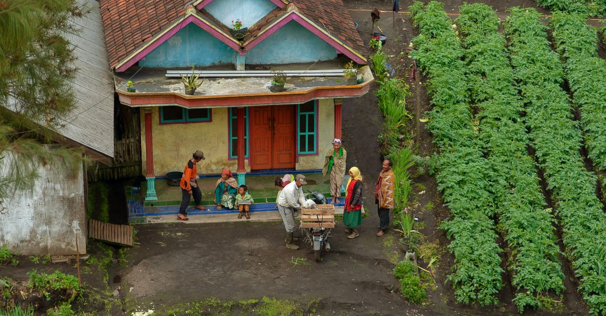 Pemulihan Pascabencana Sumatera: Membangun Kembali dengan Semangat Kolaborasi