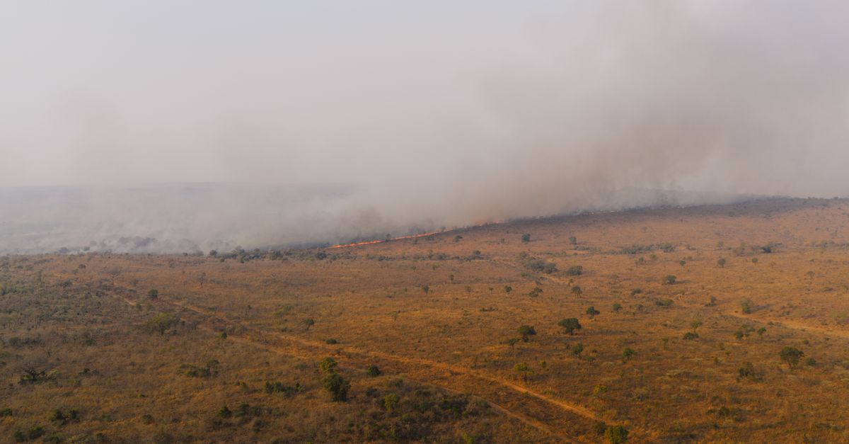 Kabut Asap Kembali Selimuti Sumatera dan Kalimantan, Pemulihan Bencana Mendesak