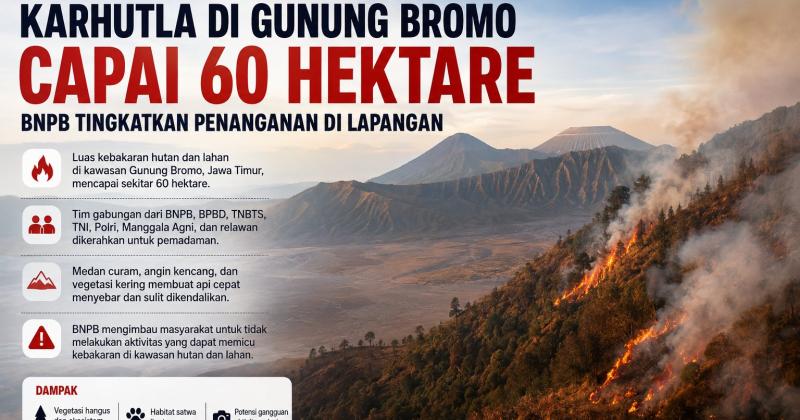 Api Meluas di Gunung Bromo, 60 Hektare Hutan Terbakar! BNPB Tingkatkan Penanganan Karhutla