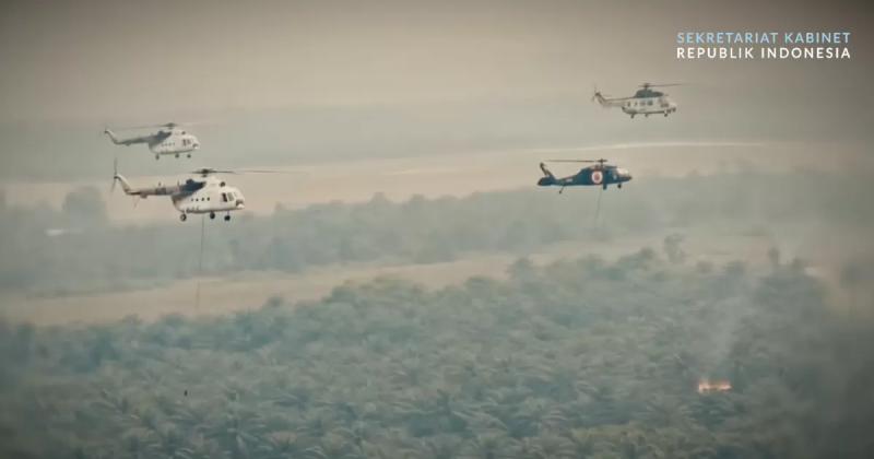 Pemerintah Kerahkan Puluhan Ribu Personil dan Puluhan Pesawat demi Tangani Kebakaran Hutan di Enam Provinsi Prioritas